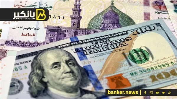 سعر الدولار أمام الجنيه المصري في تعاملات اليوم الخميس 15-8-2024 – المربع