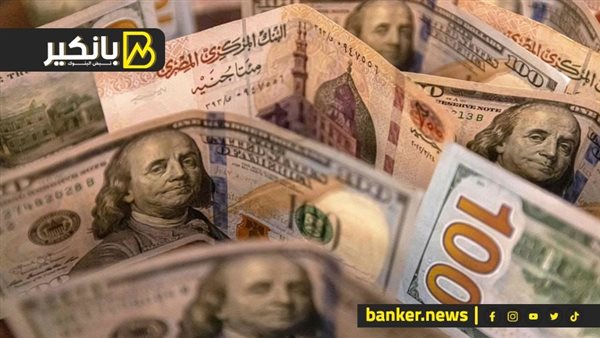 سعر الدولار اليوم السبت 17-8-2024 في البنك المركزي المصري – المربع