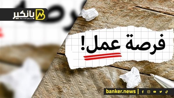 “وظيفة تك”.. اعرف وظايف الحكومة الجديدة وشروطها – المربع